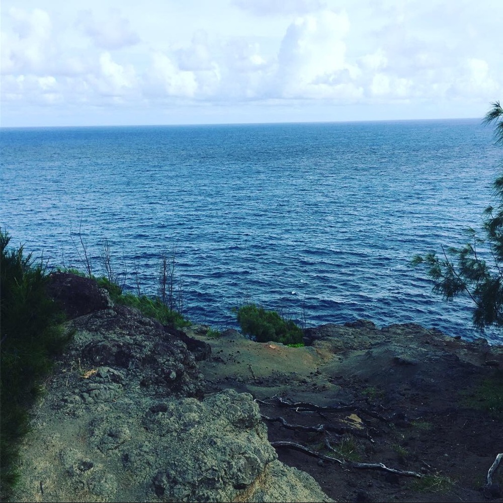 Meet your Posher, Devin